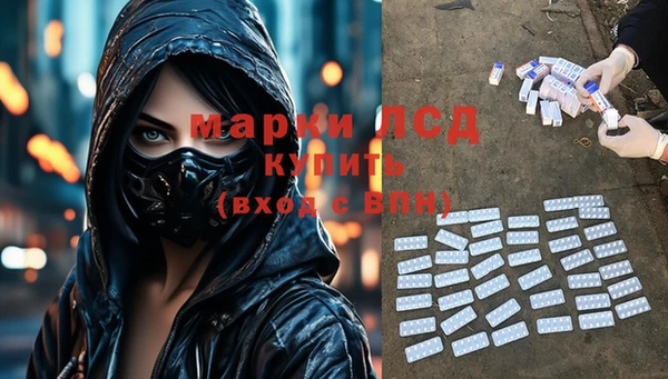 гашик Нея