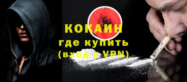 гашик Нея