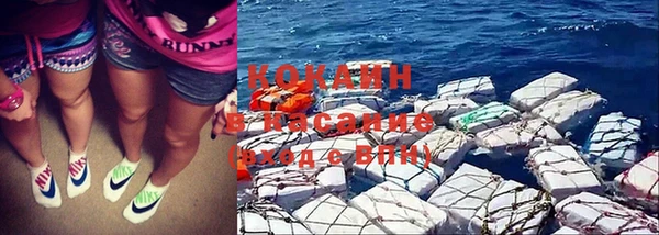 гашик Нея