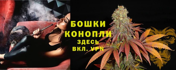 дурь Новодвинск