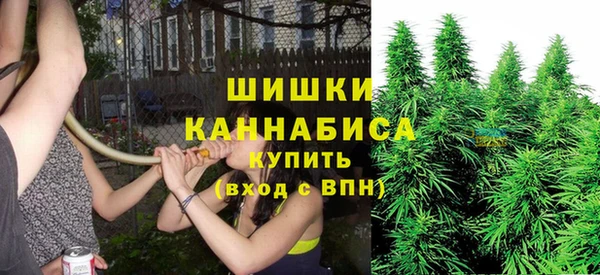 дурь Новодвинск